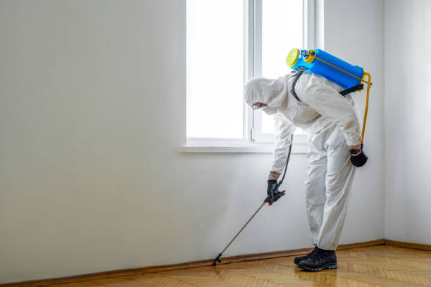 Best Pest Removal Services  in Poland, OH
